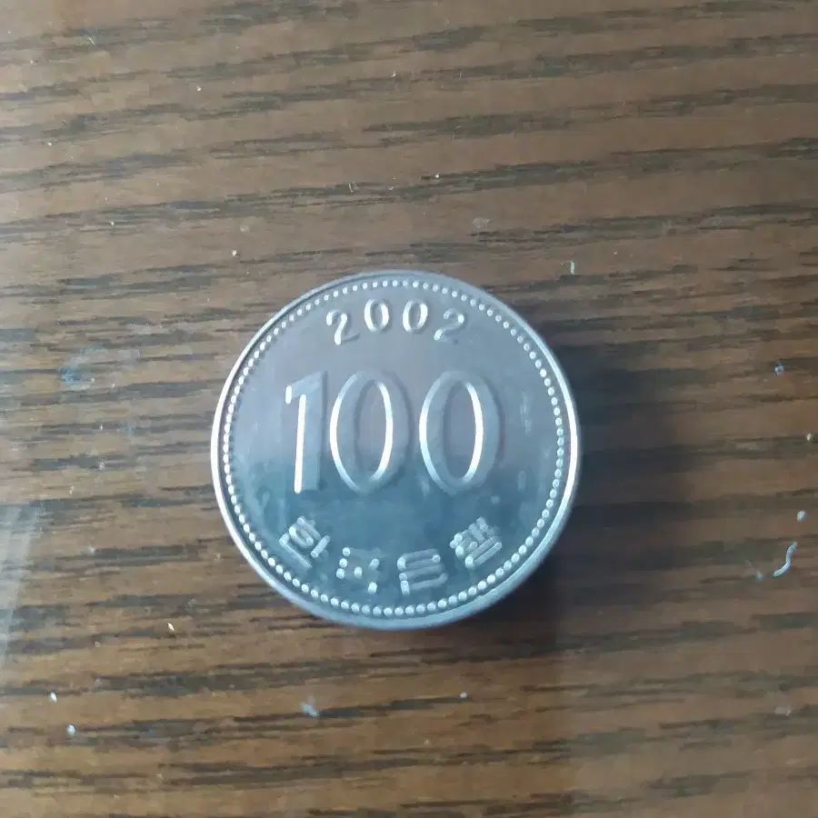 2002년 100원 동전