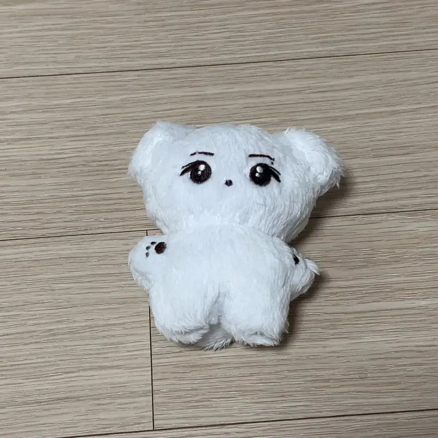 라이즈 riize 성찬 10cm 인형 숑뭉이 양도