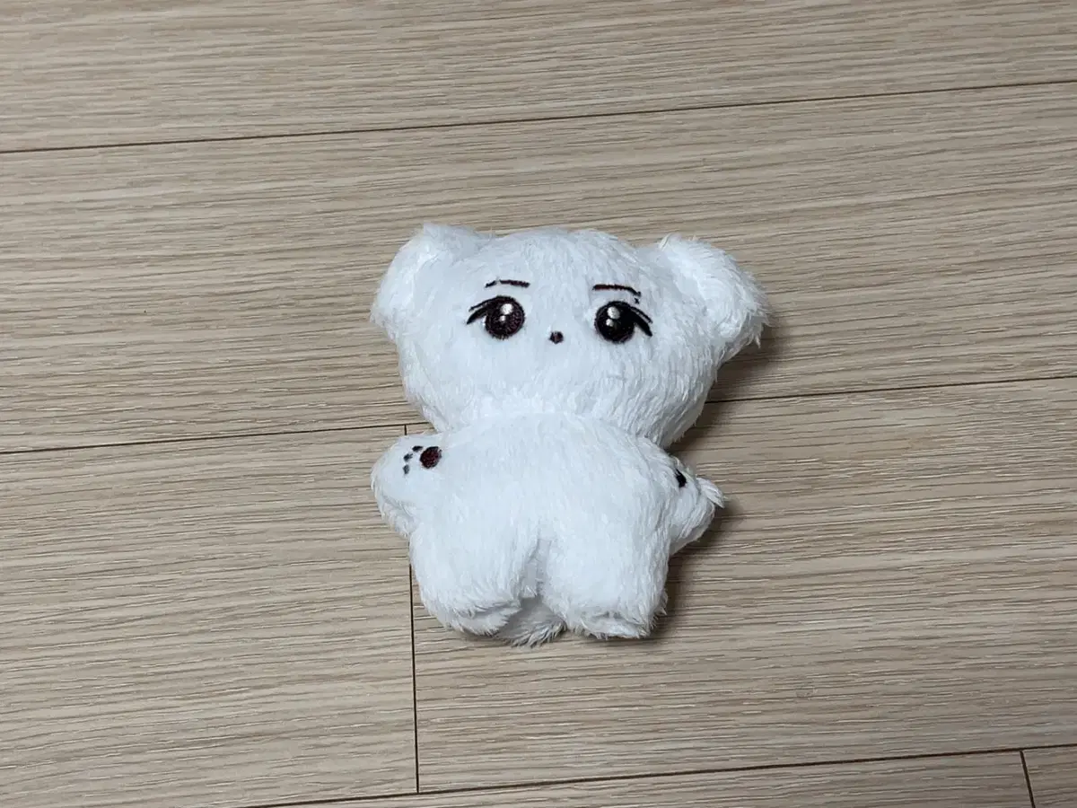 라이즈 riize 성찬 10cm 인형 숑뭉이 양도