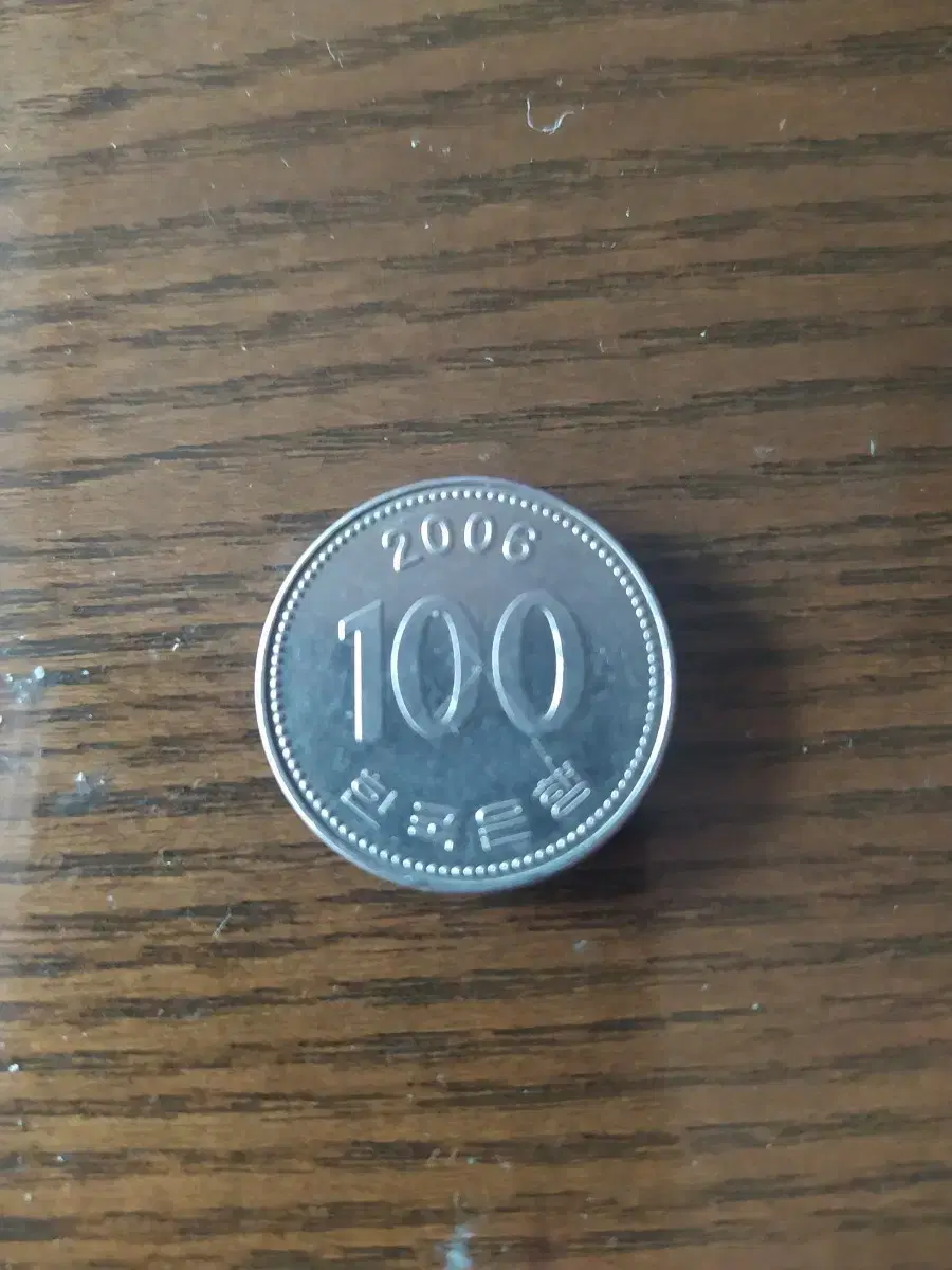 2006년 100원 둥전