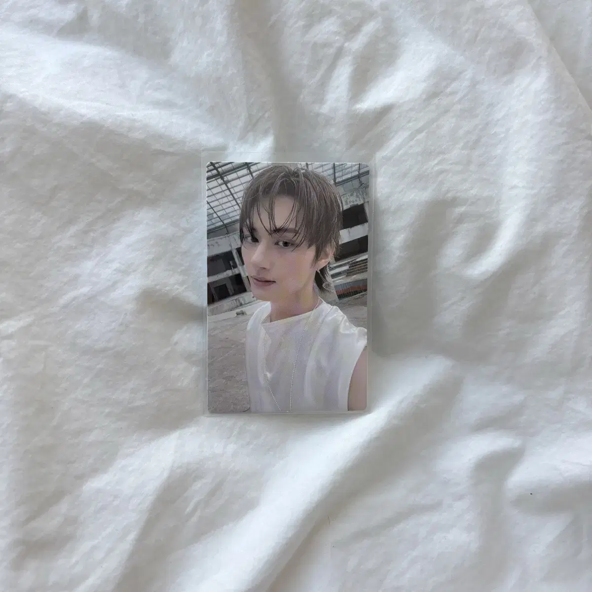 준 멤버십 포카