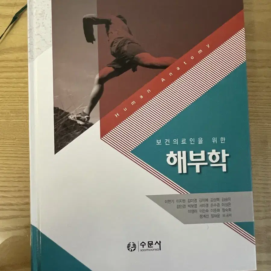 해부학