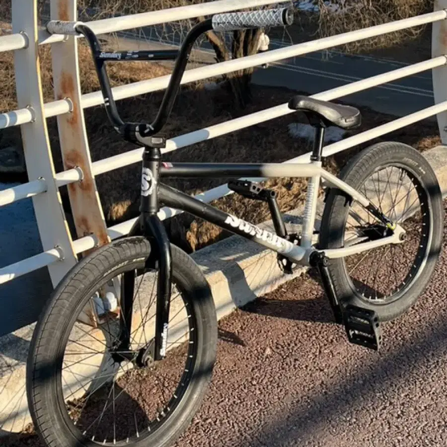 SUNDAY BMX 22년 포어캐스터