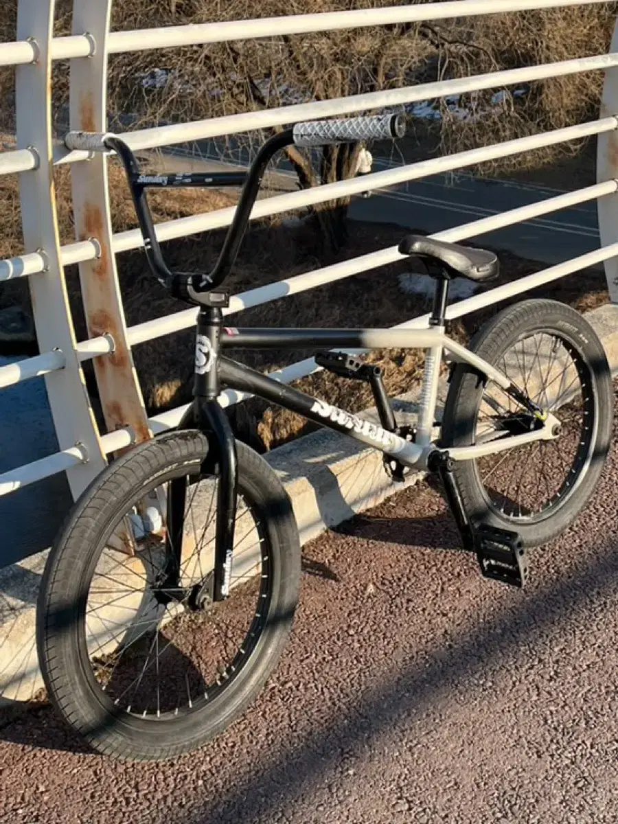 SUNDAY BMX 22년 포어캐스터