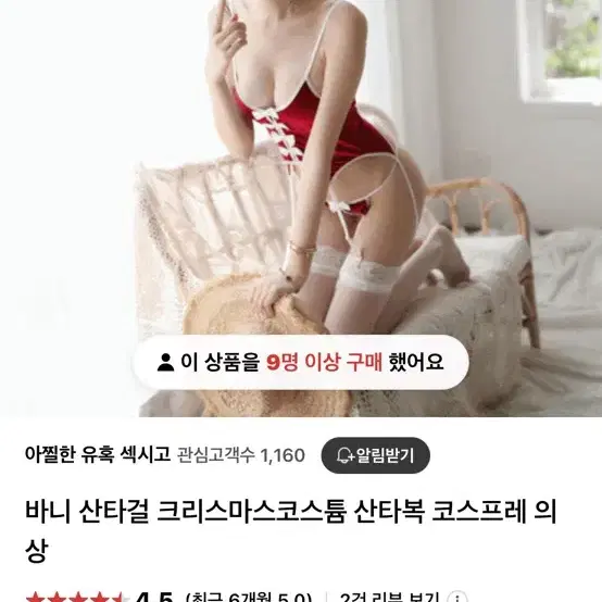 바니걸 산타 코스프레