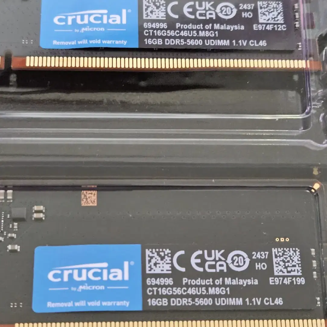 crucial 32GB(16x2) DDR5-5600