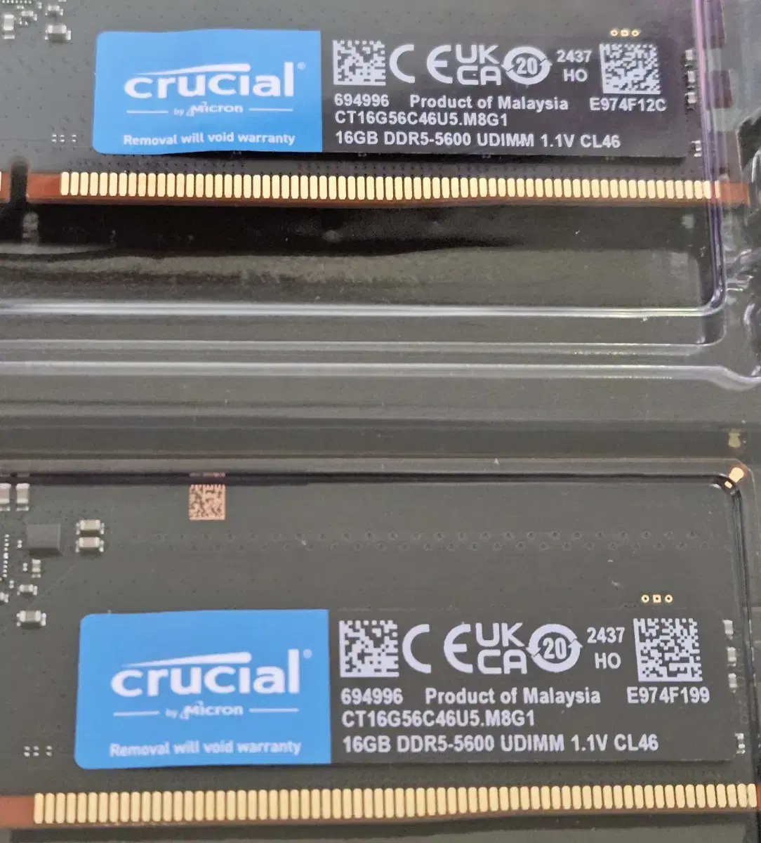 crucial 32GB(16x2) DDR5-5600