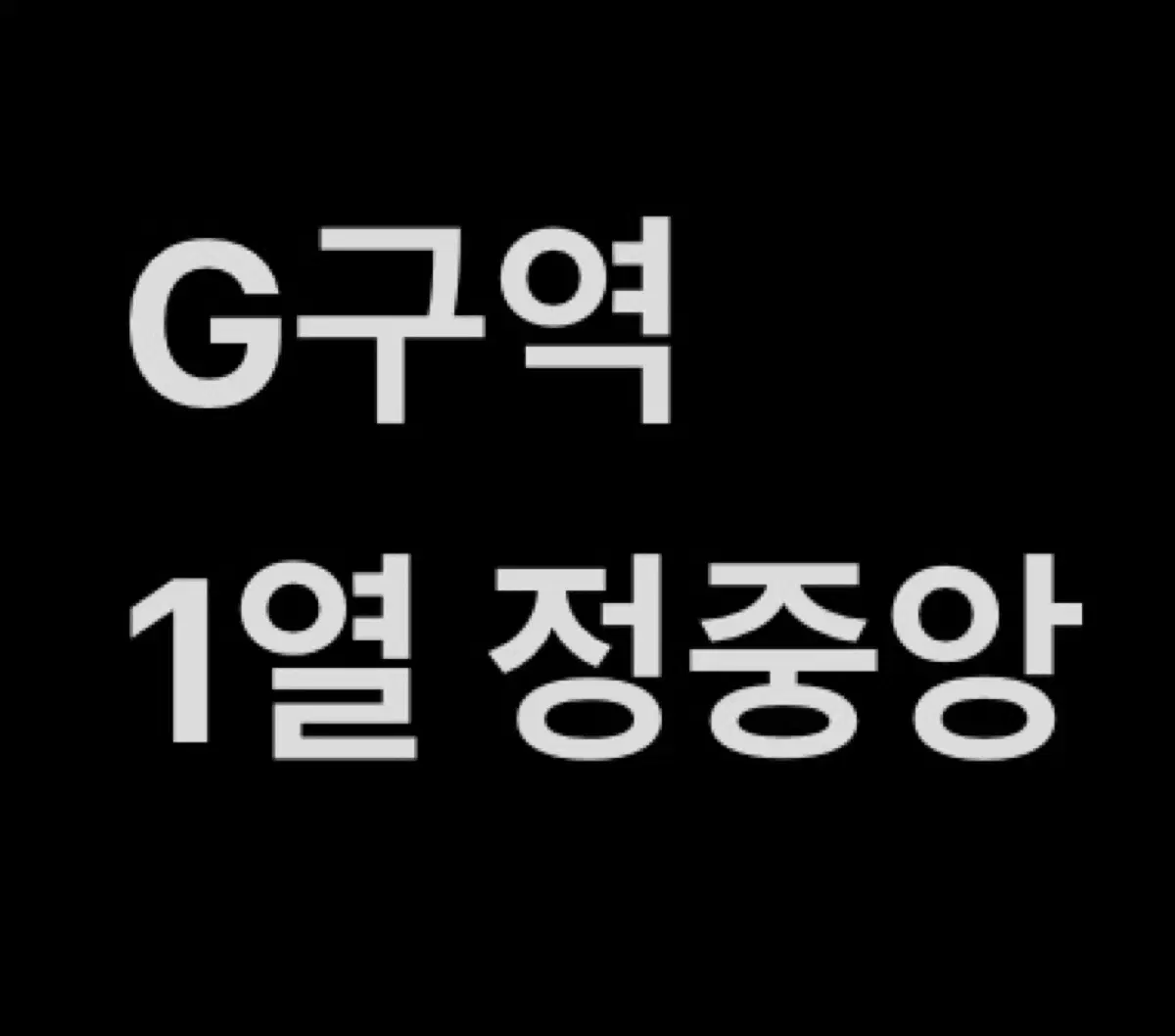 버저비트 페스티벌 토요일 지정석 G구역 1열 정중앙