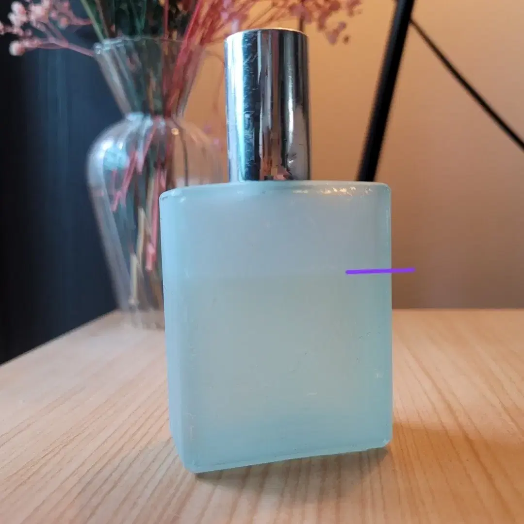 클린 프레쉬런드리 EDP 60ml 향수