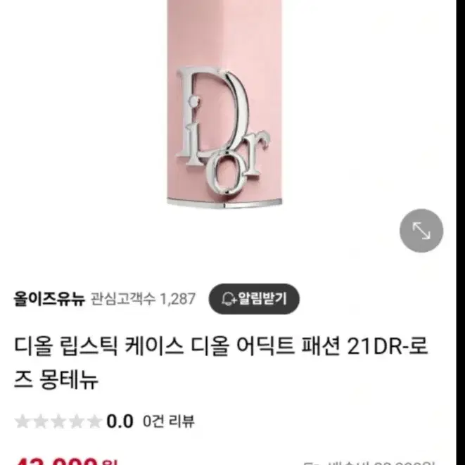 *새상품* Dior 어딕트 패션케이스