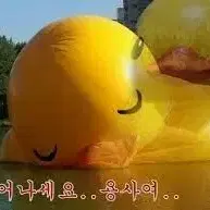 곤충님 결제건