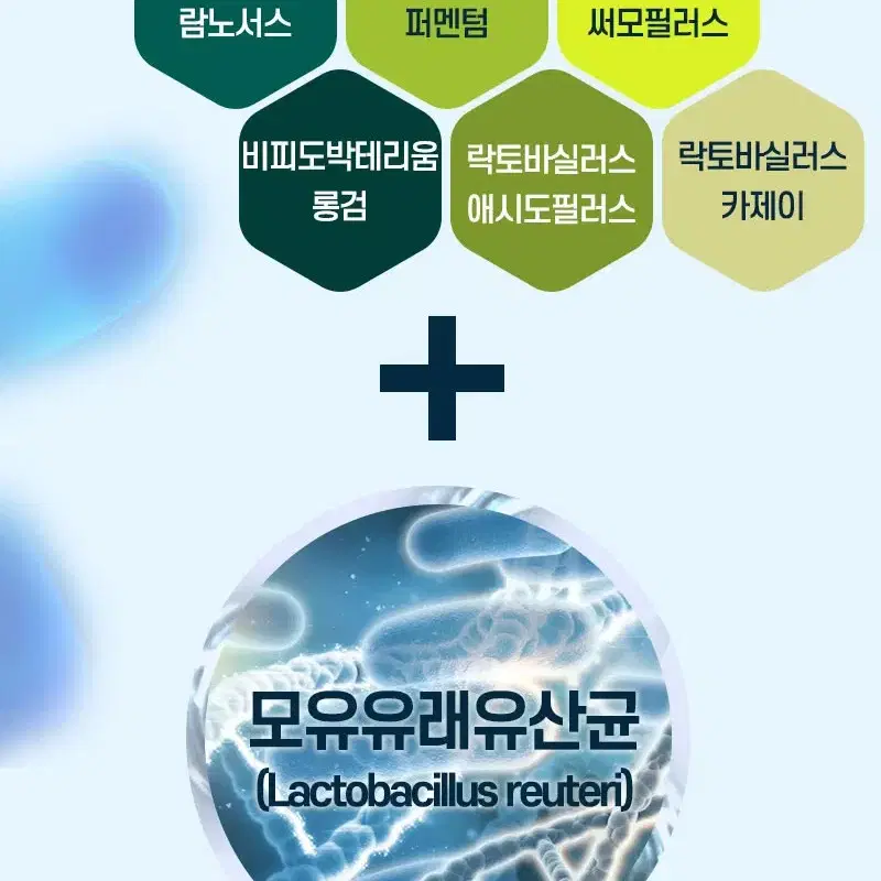 (6개월분) 뉴프ㄹㅣ 독일산 맥주효모 + 발효효소 180정