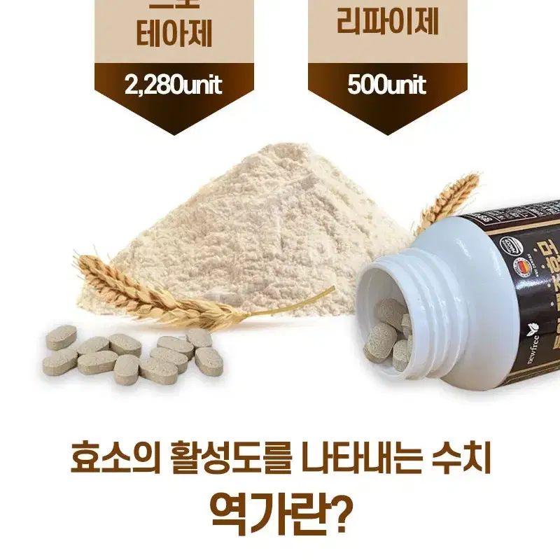 (6개월분) 뉴프ㄹㅣ 독일산 맥주효모 + 발효효소 180정