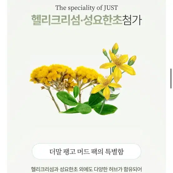 유스트 just 더말 팽고 머드팩