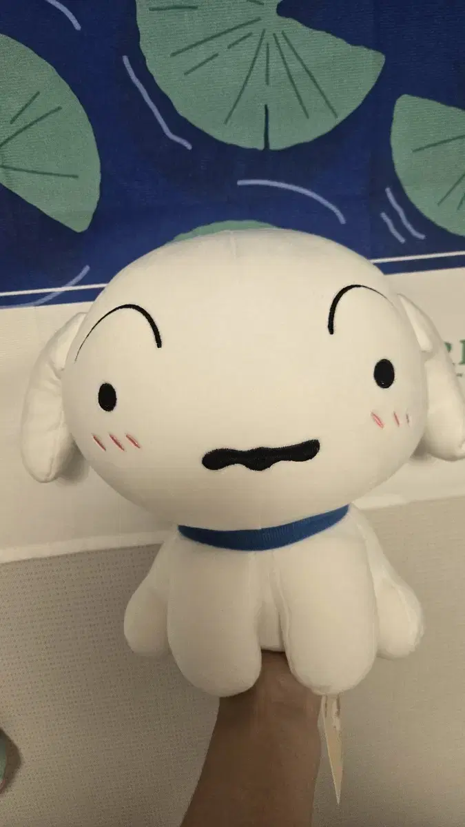 흰둥이 인형