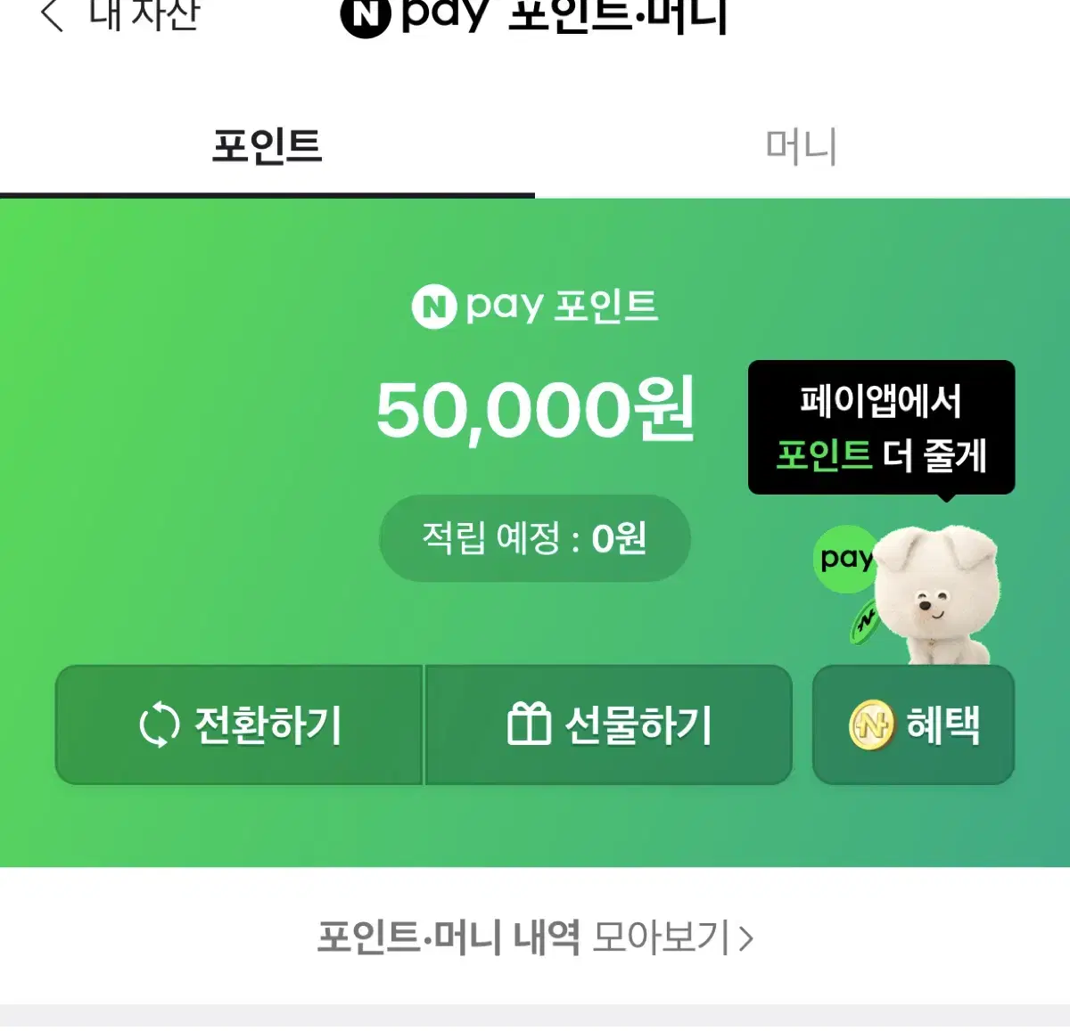 네이버페이