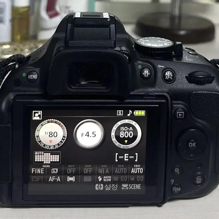 니콘 D5200 DSLR 디카