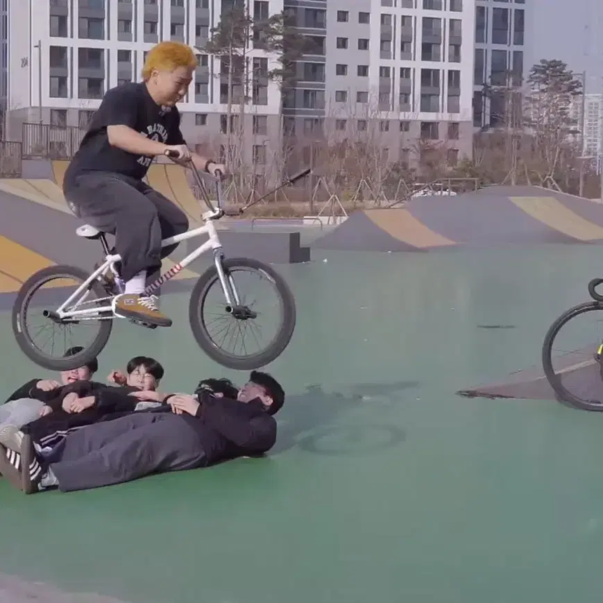 Bmx 핀드 밀스 기반 최상급 풀커스텀(급처)