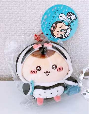 치이카와 (먼작귀) 치이카와 수족관 훔볼트 펭귄 나리 만주마 스캇