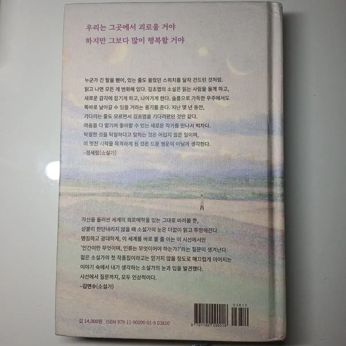 우리가 빛의 속도로 갈 수 없다면 소설책