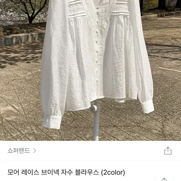 쇼퍼랜드 모어 레이스 브이넥 블라우스 (현재품절)