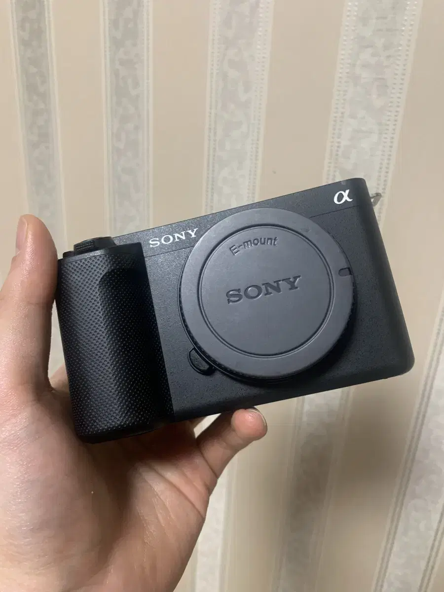 Sony zv-e1