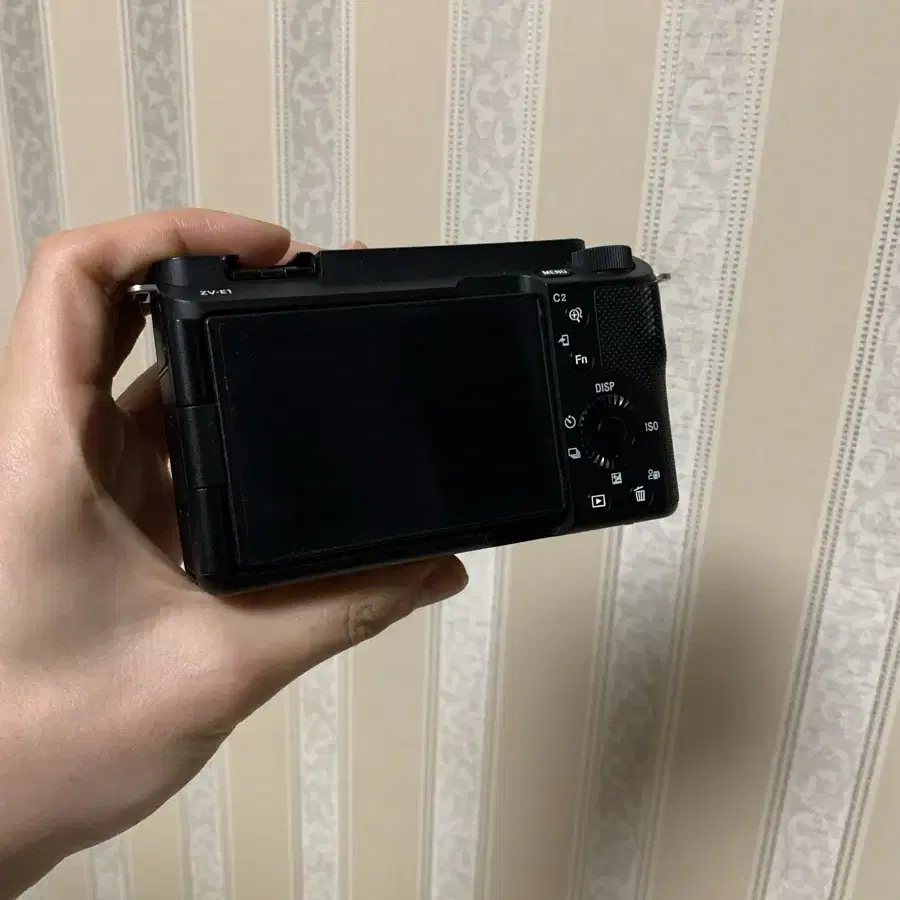 Sony zv-e1