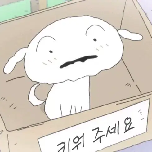 흰둥이 인형