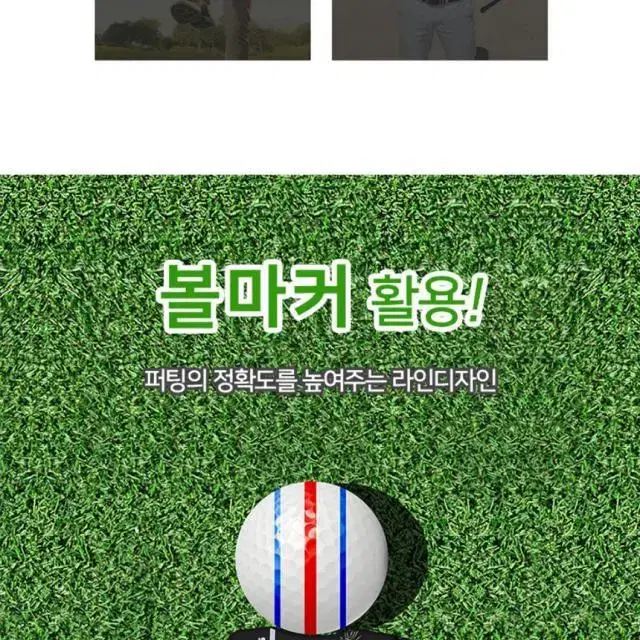 타이거에디션 높이조절 컨트롤 골프 티꽂이 4P선물세트 마포골프샵 몬...