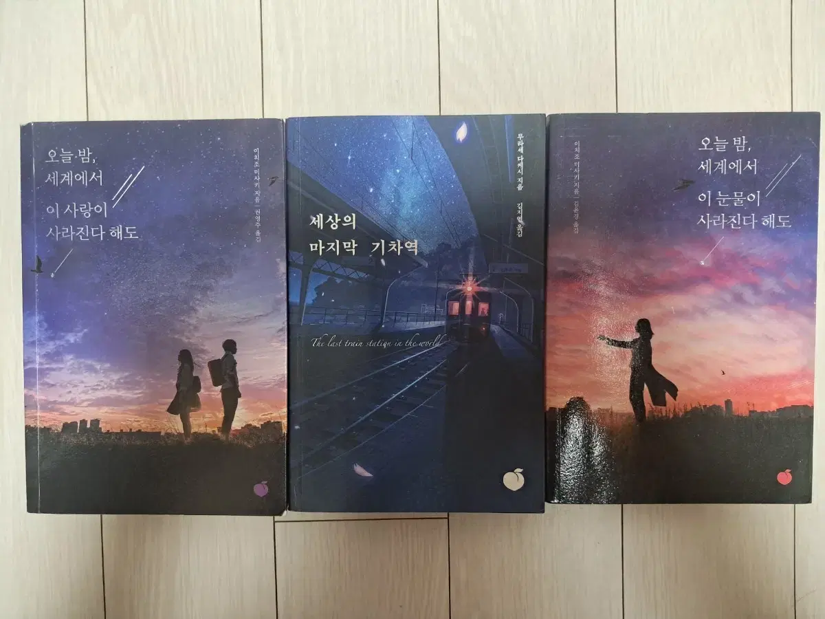 세상의 마지막 기차역, 오늘밤 이 세계에서 이 사랑,눈물이 사라진다해도