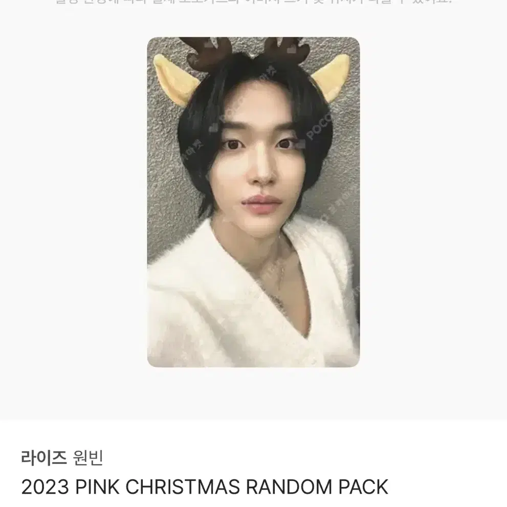 라이즈 원빈 2023 PINK CHRISTMAS RANDOM PAC