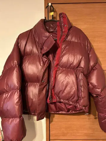 Chikashitsu + 버건디 숏 기장 다운 자켓