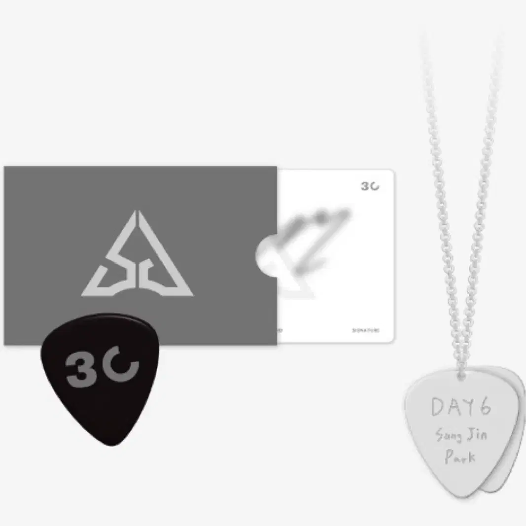 SUNGJIN GUITAR PICK NECKLACE SET - 30