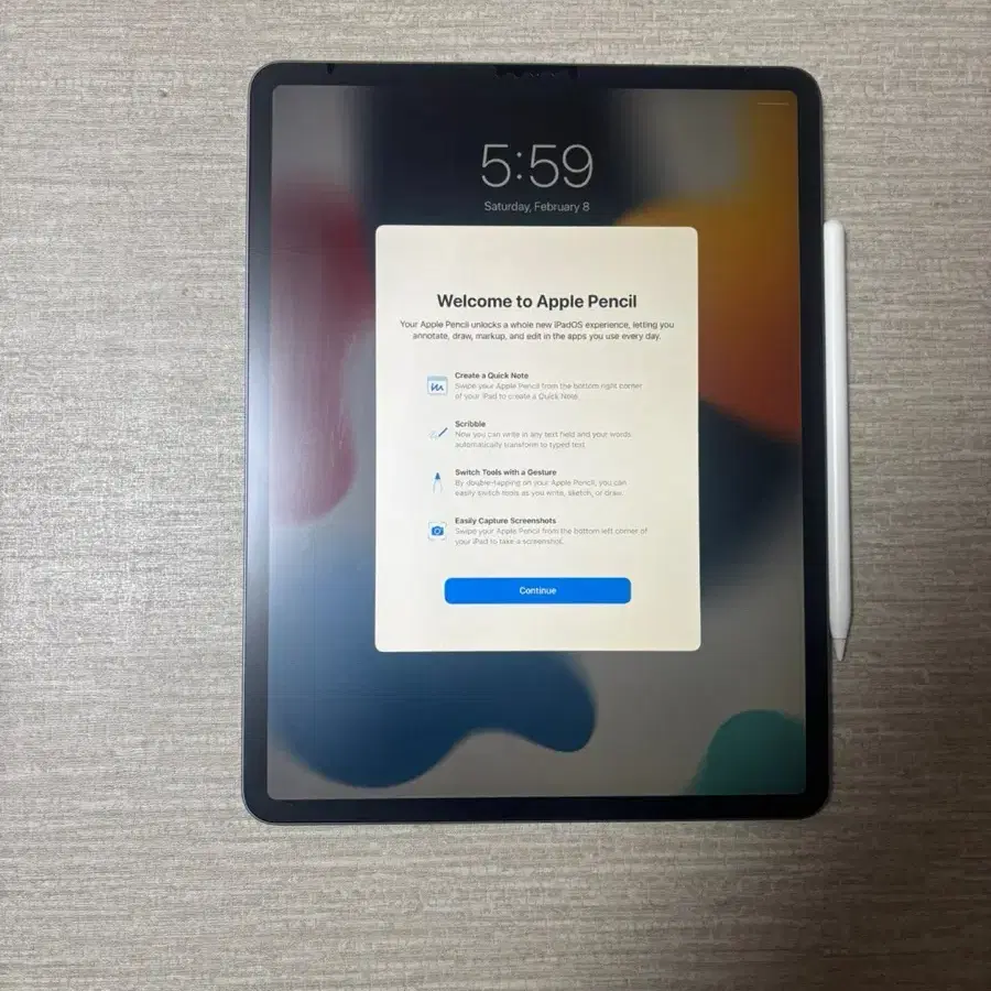 아이패드 프로 4세대 12.9 에 애플펜슬 포함하여 팝니다