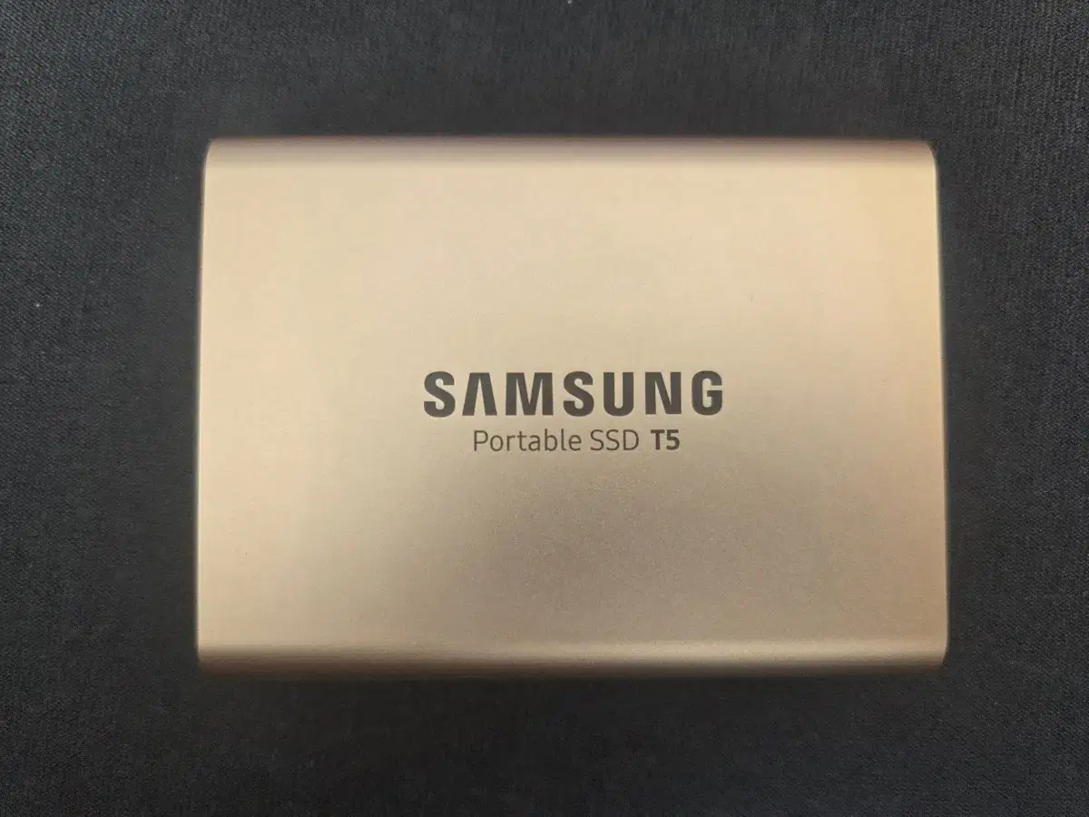 삼성 T5 SSD 외장하드 (500GB)