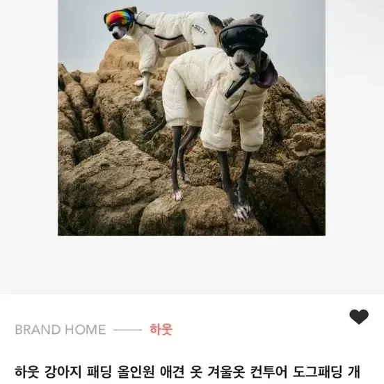 하웃 그레이하운드 패딩