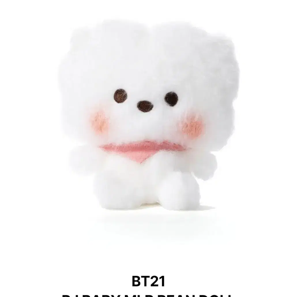 BTS 라인프렌즈 일본한정 BT21 알제이 RJ