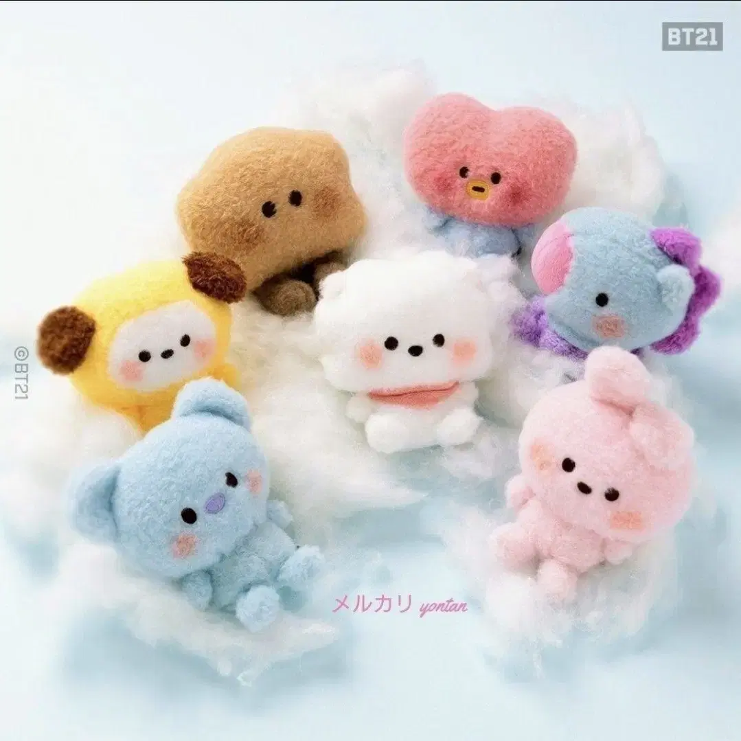 BTS 라인프렌즈 일본한정 BT21 알제이 RJ