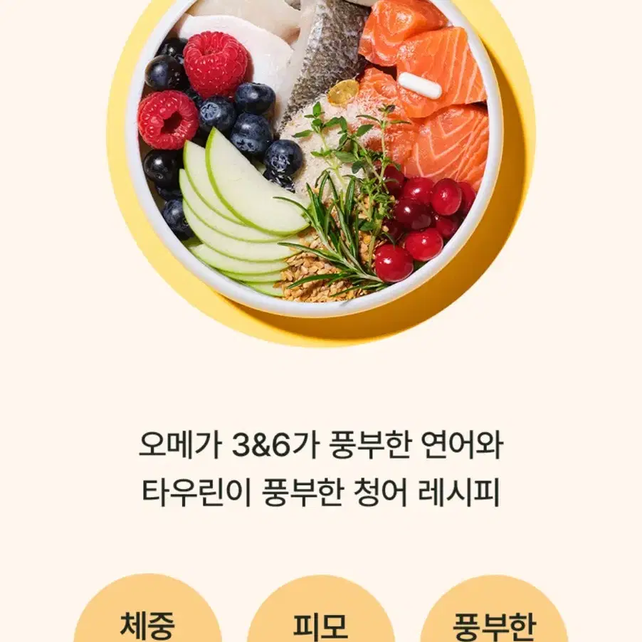 고양이 사료 푸치앤머트 (정가 2.7만원)