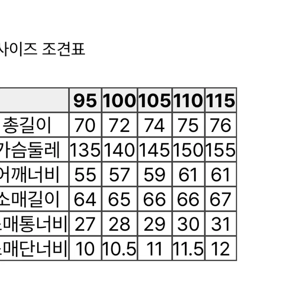 코오롱 골드윈 마운틴 구스다운 새상품