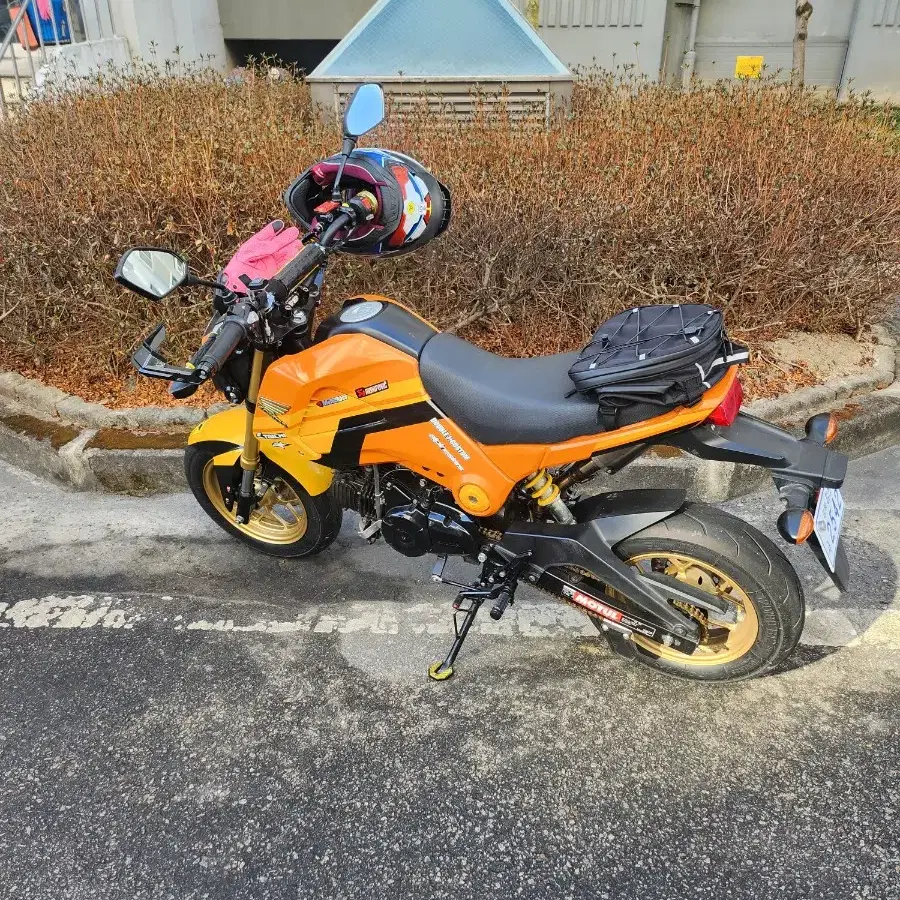 msx125