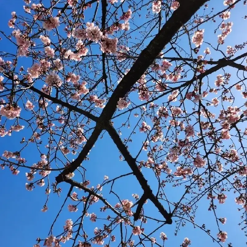 (미개봉) 유레카쿠지 집사 한지 아크릴스탠드