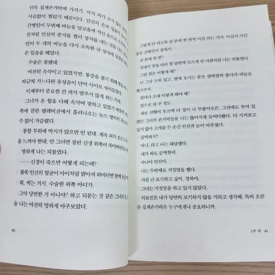 한강 작별하지 않는다