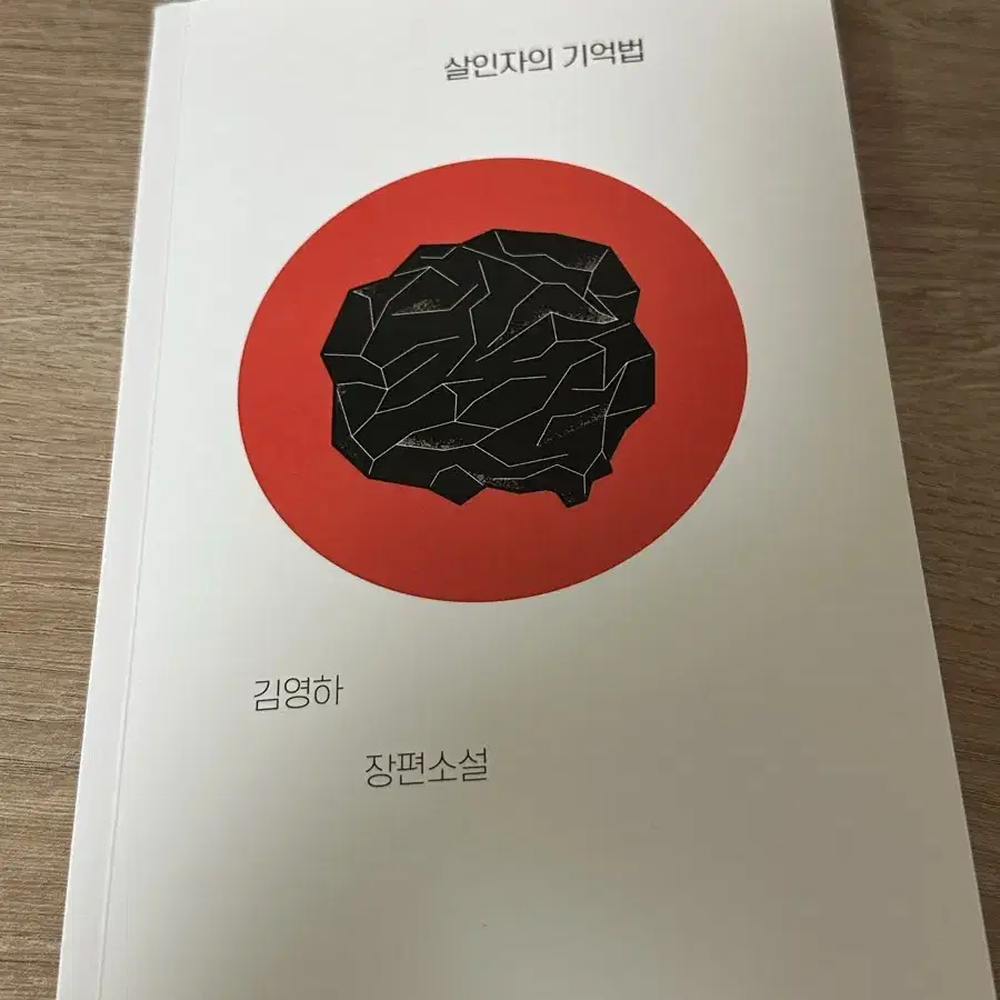 살인자의 기억법 김영하