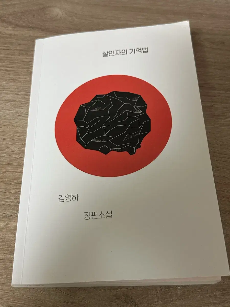 살인자의 기억법 김영하