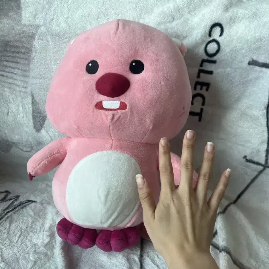 40cm 루피인형