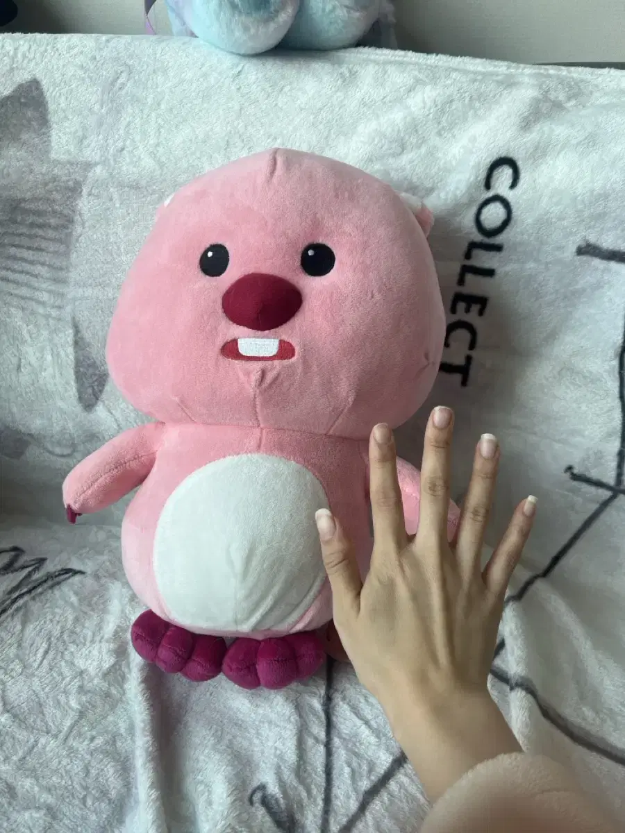 40cm 루피인형