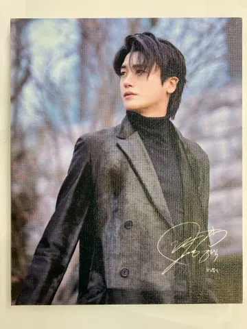 박형식 캔버스 패널