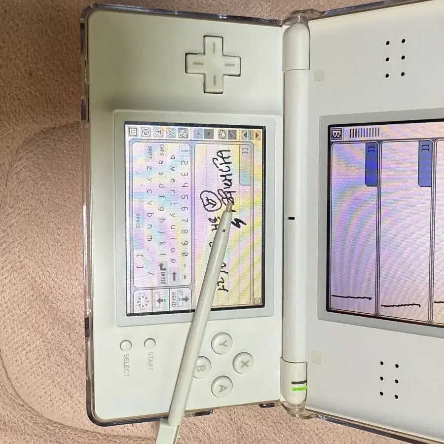 닌텐도 ds lite / 칩