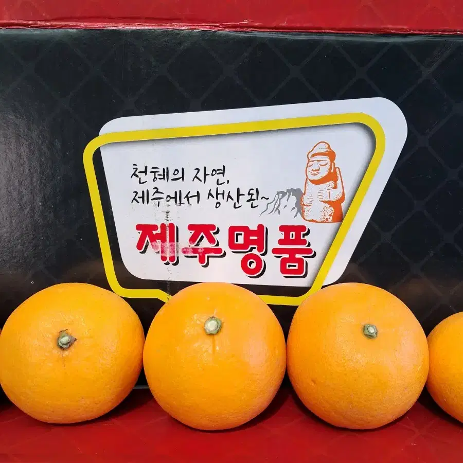 천혜향3kg(중과15과내외)ㅡ26,000원 무료배송